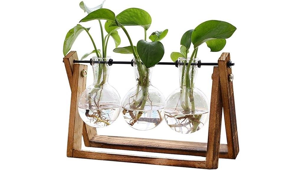 terrarium with wooden stand