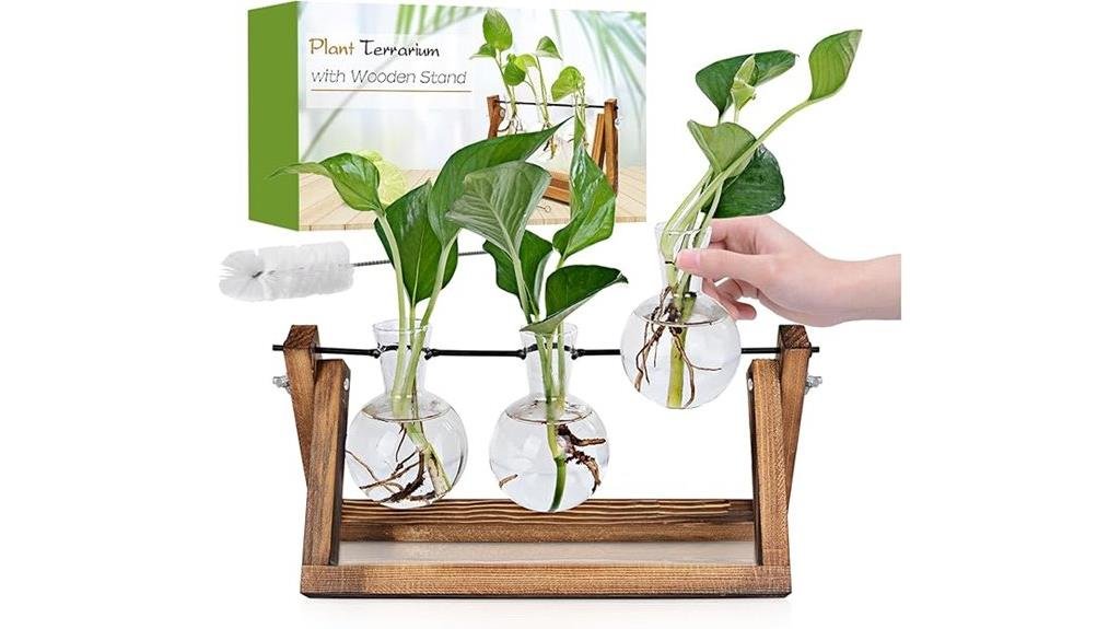 wooden stand plant propagation